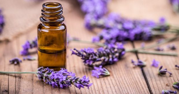cropped-bigstock-herbal-oil-and-lavender-flower-1388719041.jpg